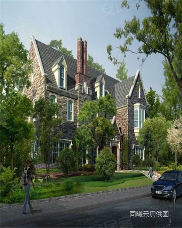 真 房源 马山弘阳三万顷 小别墅.送200平大院子