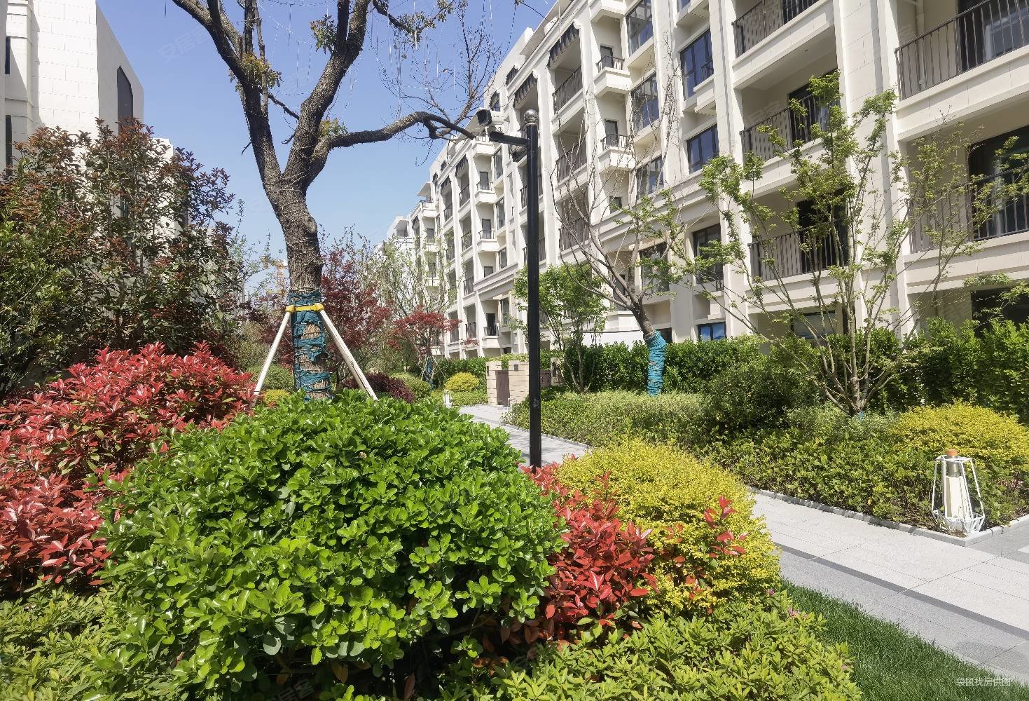 罗溪别墅 空港别墅 品牌房企 全别墅区送花园 带产证,空港国际星光城