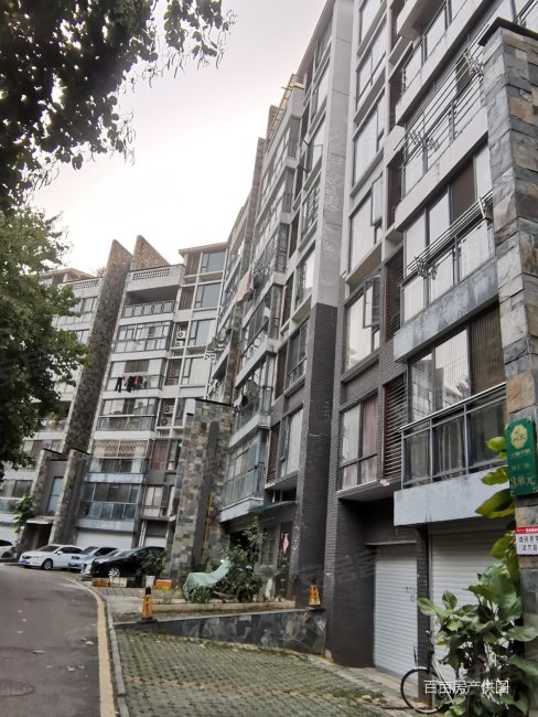 大美天第公寓住宅