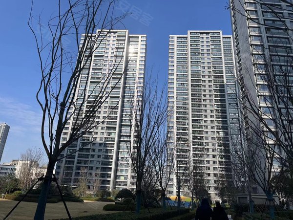 【多图】运河铂湾澜庭,虎丘城区租房,xuexiao马路对面 铂湾澜庭二期