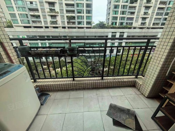 【多图】蓝色康园,滨江东租房,蓝色康园 1室11厅1卫 40平 南北通透 精