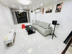 肇庆端州新东敏捷商圈 两房一厅 可押一 拎包入住 中高层 时尚简约设计出租房源真实图片