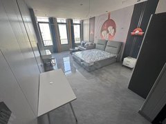 湖州长兴雉城街道长和路万固尚溪府对面，天能集团旁出租房源真实图片