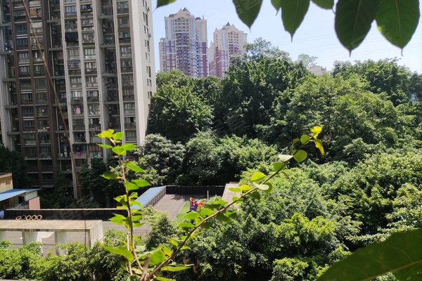 东海岸,下石门617-618号 - 重庆东海岸二手房,租房,房价-重庆安居客