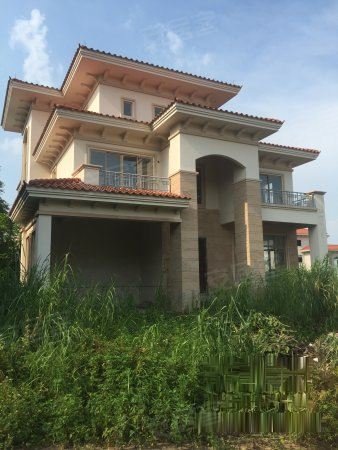 仙湖 翡翠湾 独栋别墅 带600方花园 带地下室 入住率高