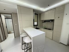 苏州吴中城南整租 九盛里精装两室一厅 房间一样大 7号线2号线 白金汉爵出租房源真实图片