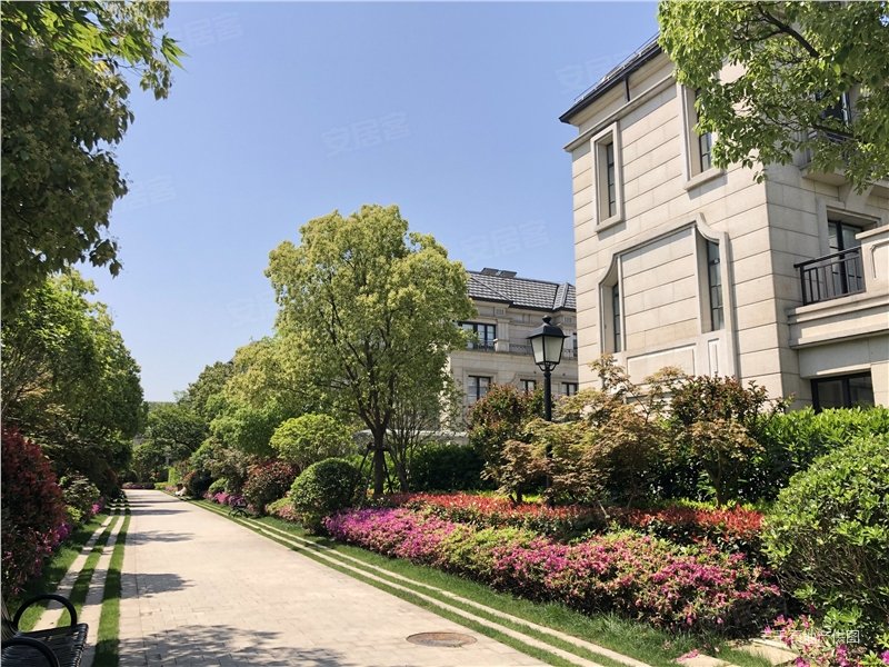 绿地海珀风华(别墅)5室0厅0卫320㎡南北2450万