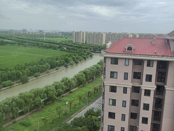 上海金山枫泾桃源名庭桃源名庭 2室2厅1卫 精装修 南北通透 100平出租