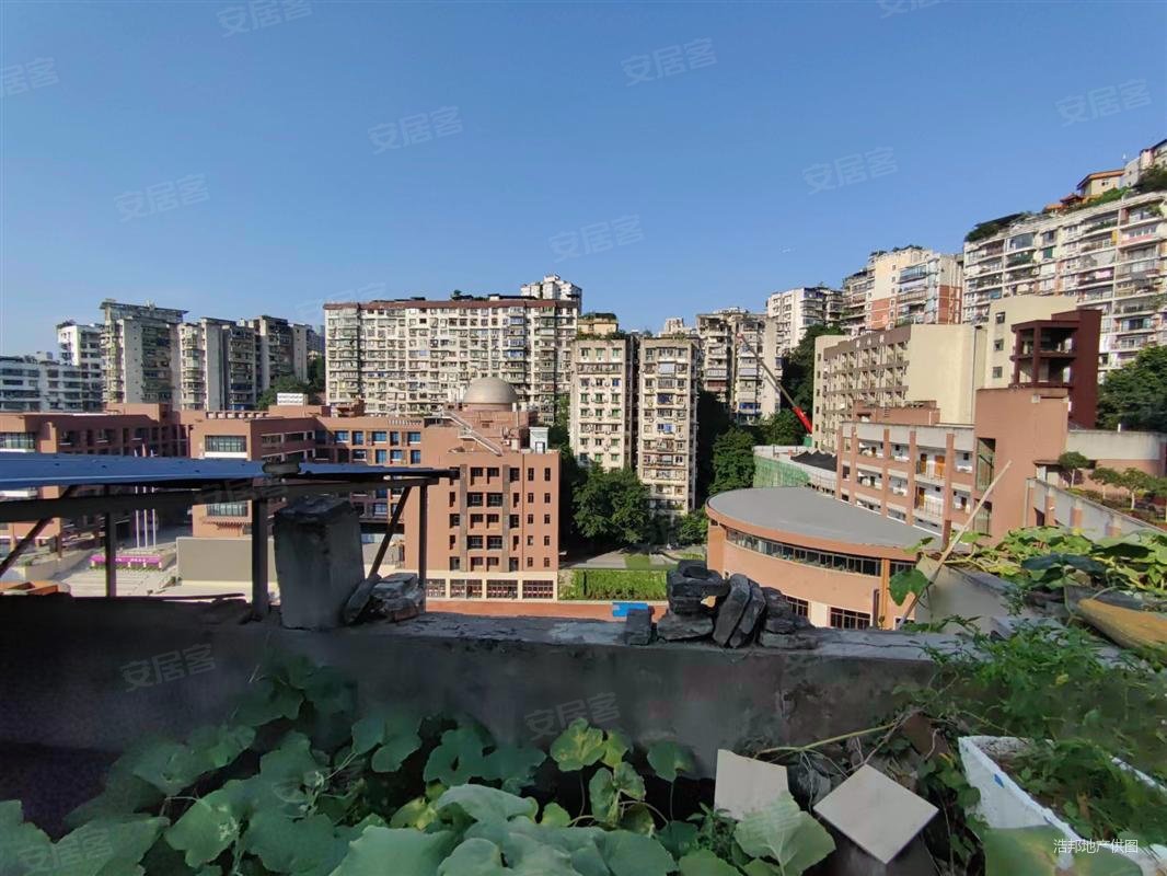 重庆房产网>重庆二手房>渝中二手房>渝中区观音岩二手房>枣子岚垭正街