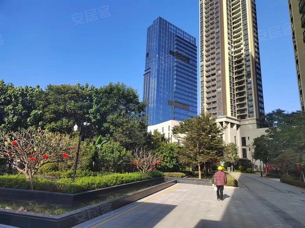 深圳坪山坪山佳华领悦广场新和地铁站 天虹 比亚迪 坪山高铁 佳华精装