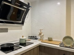 火车南站金融城茂业精装一室 可月租 近地铁 无中阶 可做饭