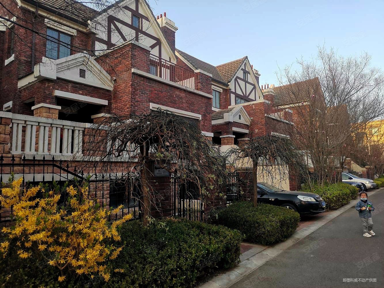 独栋小别墅 上下三300多平 南向大院 丽山国际,丽山国际英伦伴山墅