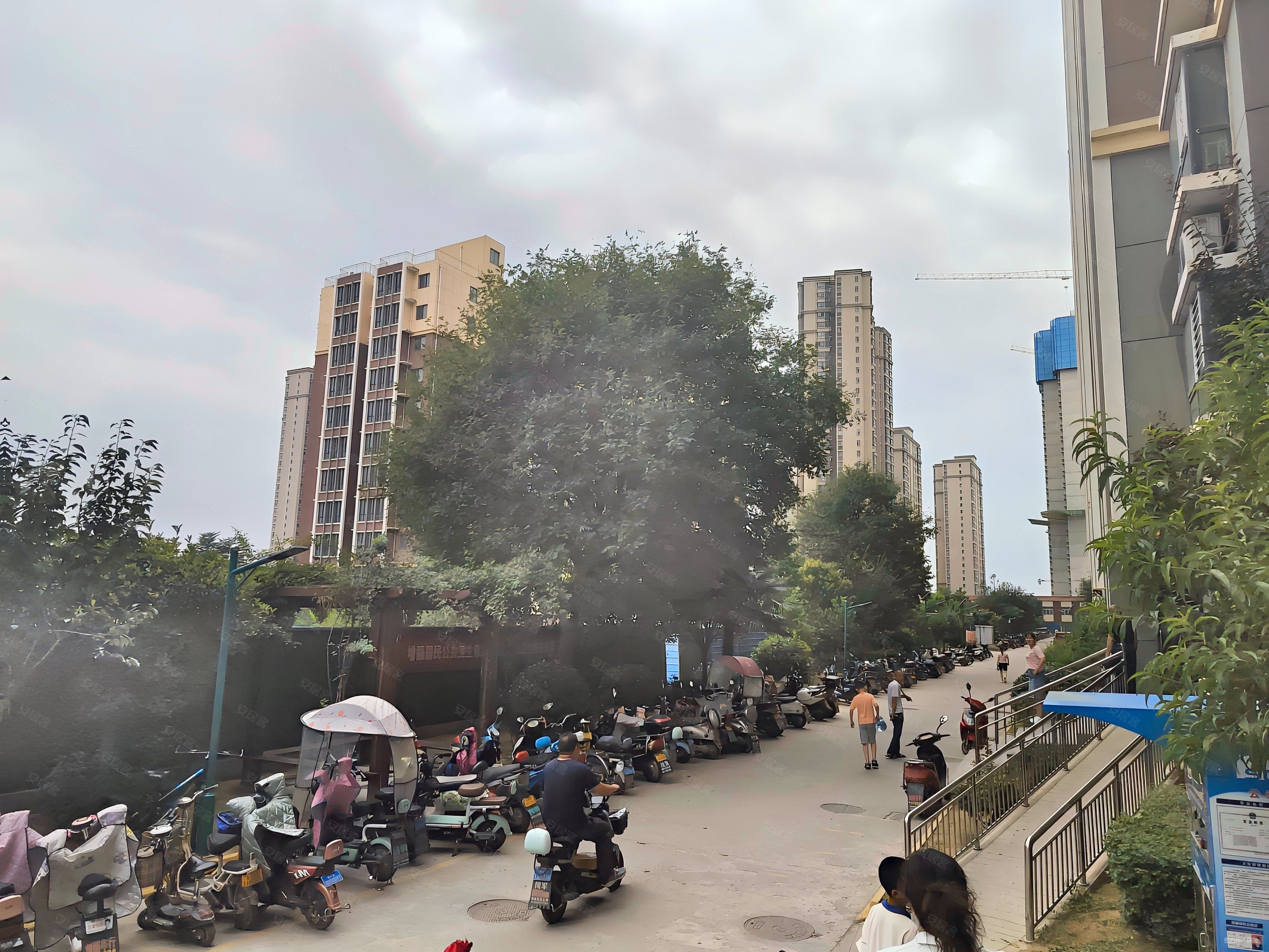 龙江国际城1室1厅1卫50.09㎡南北31.9万