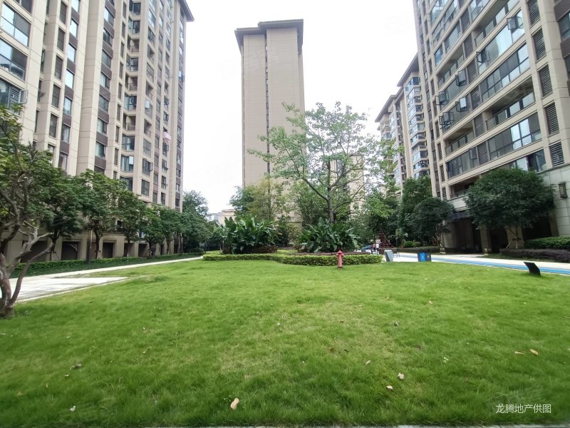 板楼南北通透三阳台赠送大 居住舒适视野美丽 金科天宸