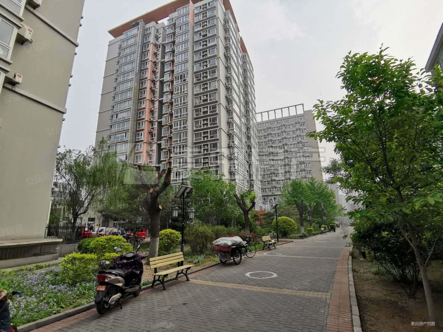 交大嘉园必看好房双卧室朝南采光充足格局无浪费面积