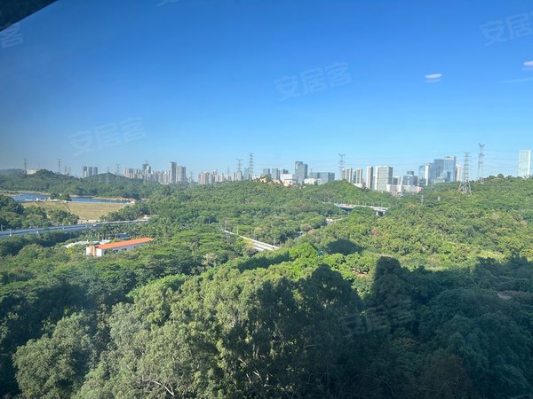 深圳南山大学城京基御景峯京基御景峰4房2厅2卫出租房源真实图片