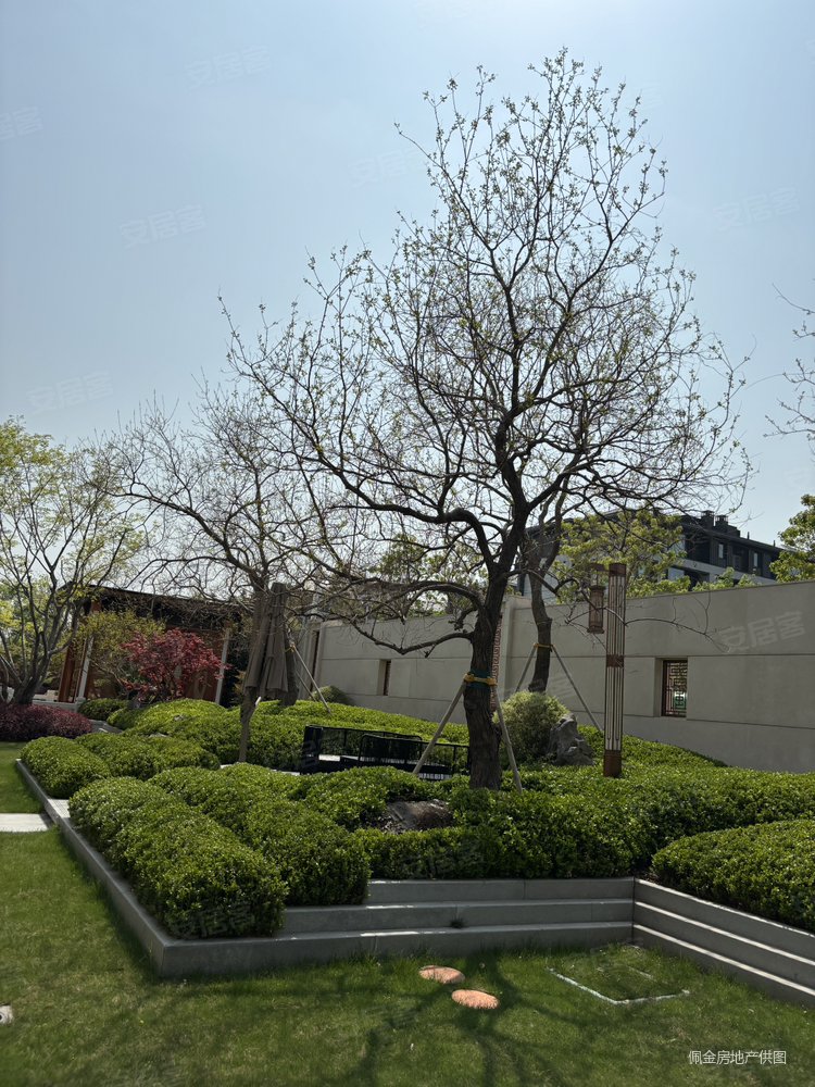 海马青风院子5室3厅4卫290㎡南北2150万