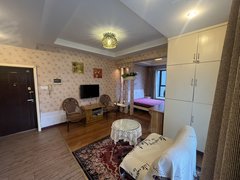 乐山市中新大桥莱佛士电梯精装一室公寓，  家具家电齐全，拎包入住出租房源真实图片