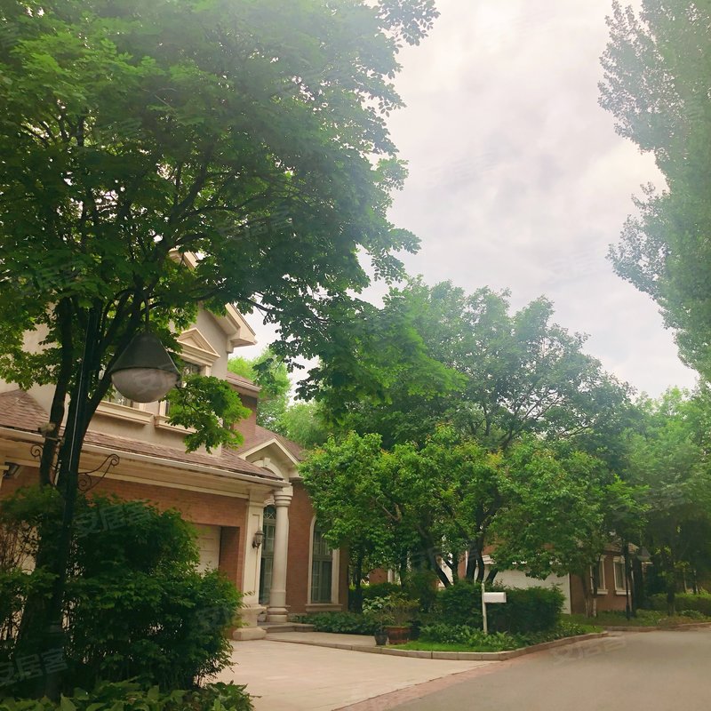 【森林华墅, 森林华墅小区详情,房价走势,房源,业主论坛】- 长春58