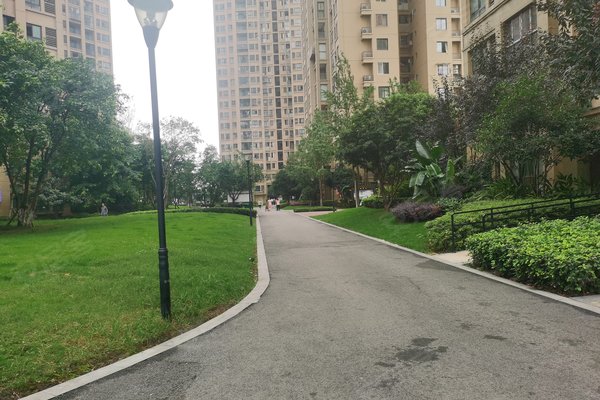 重庆小区 巴南小区 龙洲湾小区 珠江城(d区)