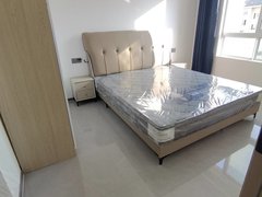 平湖平湖市区市区阳光嘉苑，时尚中心，箱包城对面朝南带阳台附近多套房源几房都有出租房源真实图片