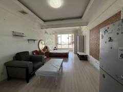 大连开发区红梅翠竹左岸一室 价格低 家具家电齐全出租房源真实图片