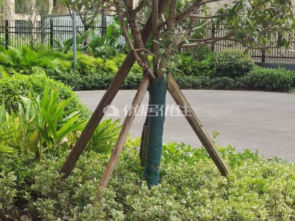 【多图】北城空港天地(二期),空港租房,3室 精装 88平 北城空港天地