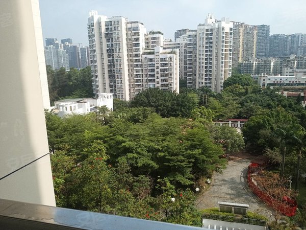 深圳南山前海前海花园精装三房近一号线大新站干净清爽简约朝南电梯房