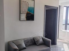 温州瑞安塘下名品佳园,两室一厅,朝南采光很好,精装修出租房源真实图片