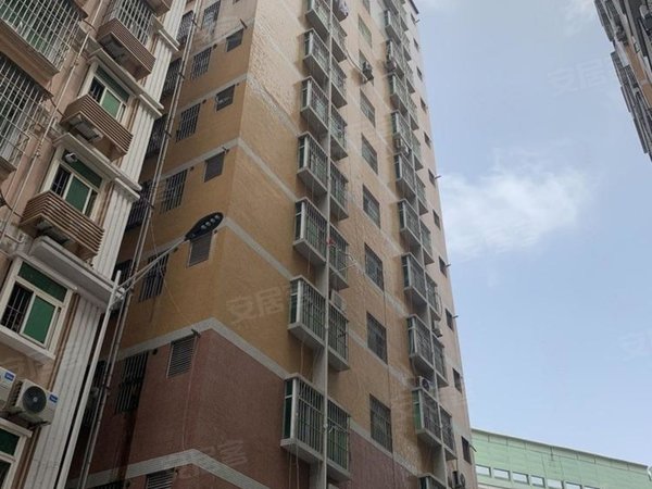 深圳南山蛇口南水村全年7折 近地铁 可短租 签约立减一个月 没中介费