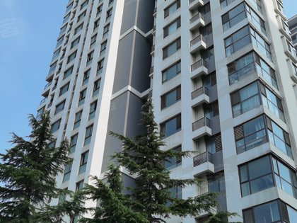 康大凤凰国际优点,不足,康大凤凰国际怎么样,康大凤凰国际周边房产