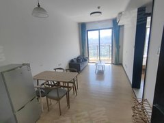 大亚湾大亚湾龙光德州城近坪山一室一厅一厨一卫公寓好房诚意招租出租房源真实图片