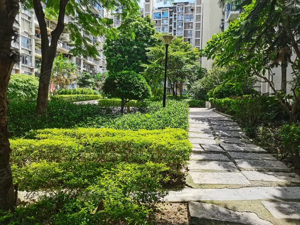 深圳龙华民治春华四季园紧临地铁!精装三房二卫!朝南采光好!拧包入住!