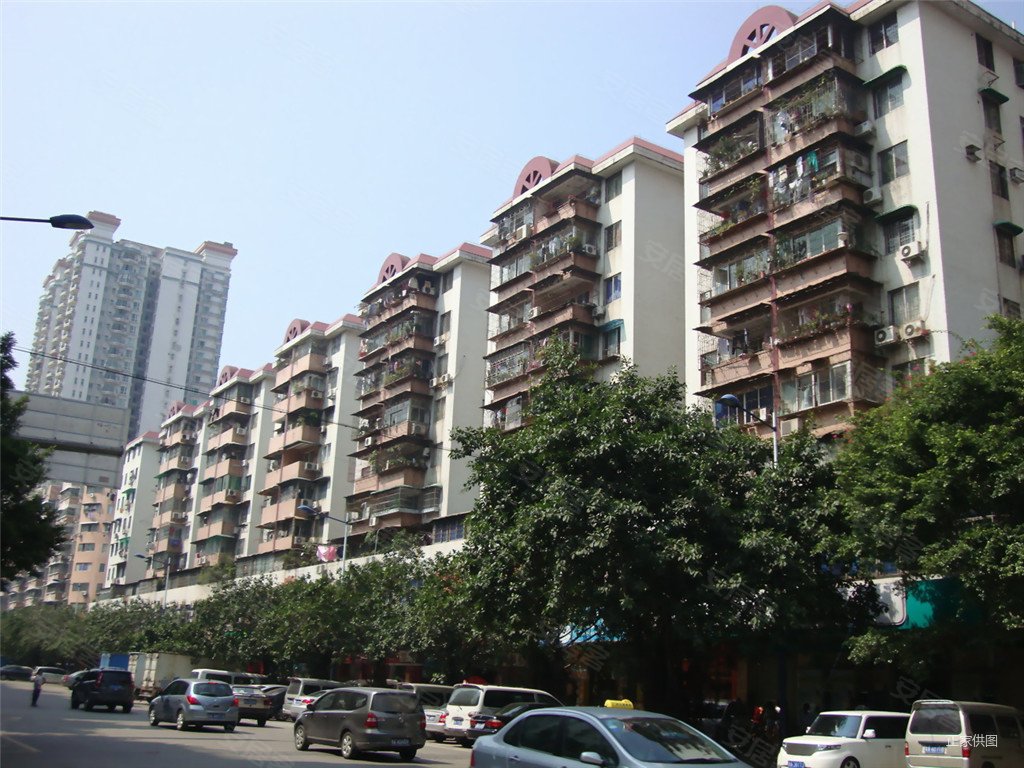 晓港湾现场比图片好光线好有钥匙看房
