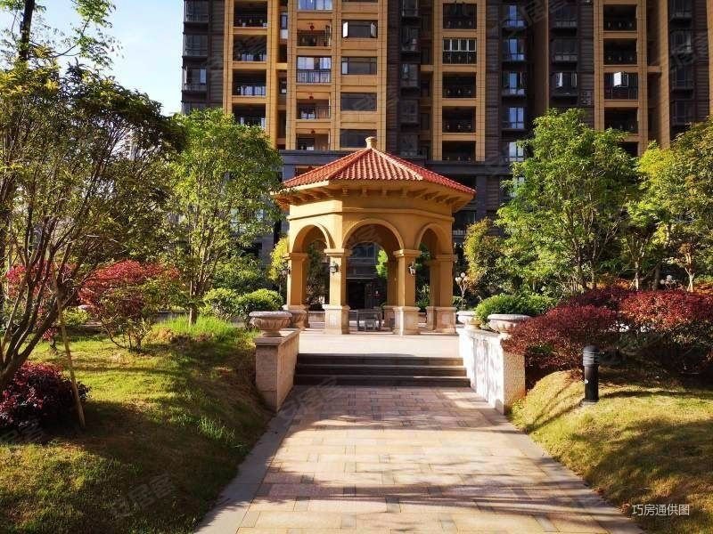 九龙湖花园一区