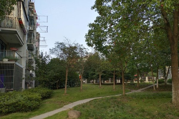 上海小区 奉贤小区 西渡小区 金都雅苑(公寓住宅)