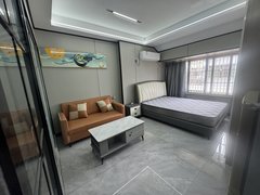 青口宝龙广场下王四区精修公寓，环境优雅交通方便