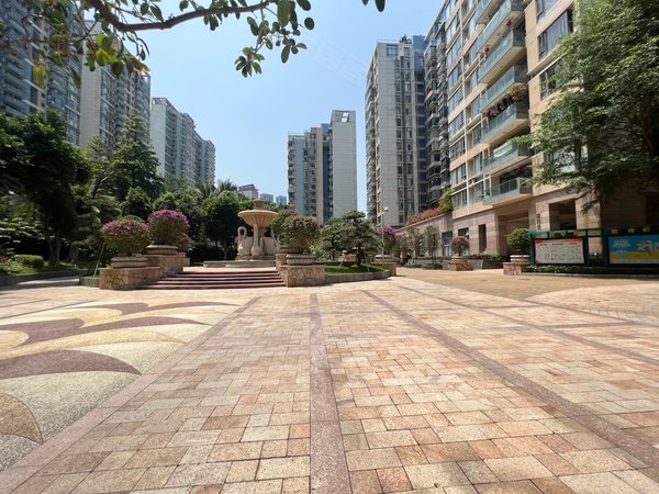 深圳福田福田中心区城中雅苑稀有户型,精装31房,南北通透,安静看花园