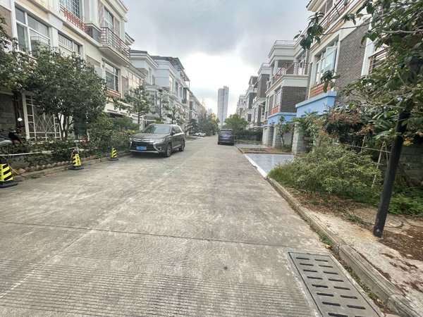 南宁青秀仙葫丽景花园青秀琅东旁,丽景花园别墅,停车方便,办公优选可