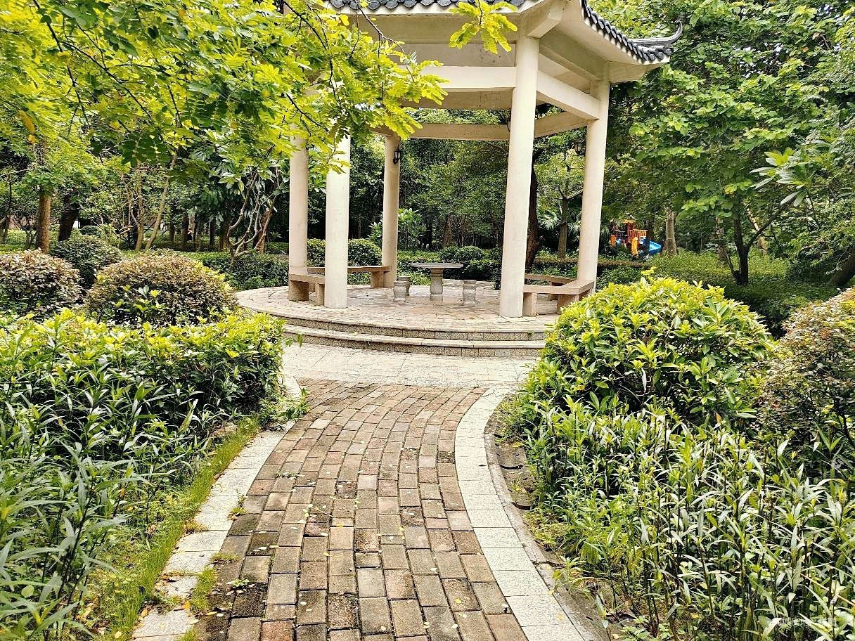 水口龙湖四路大新城南贸花园毛坯四房南北通透看花园