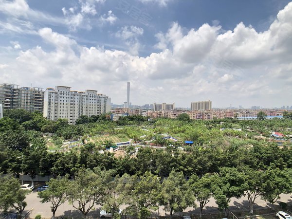 丽江花园华林居 3室2厅2卫 电梯房 精装修107平米,番禺租房-广州58