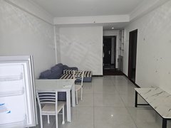 合肥新站陶冲湖两室朝南，卧室都有空调近京东方维信诺，房间特别干净可养宠物出租房源真实图片