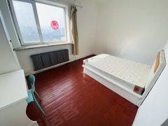 大连西岗北京街一室整租,看好可议价,北京街,五一广场,新开路,月付电梯楼出租房源真实图片