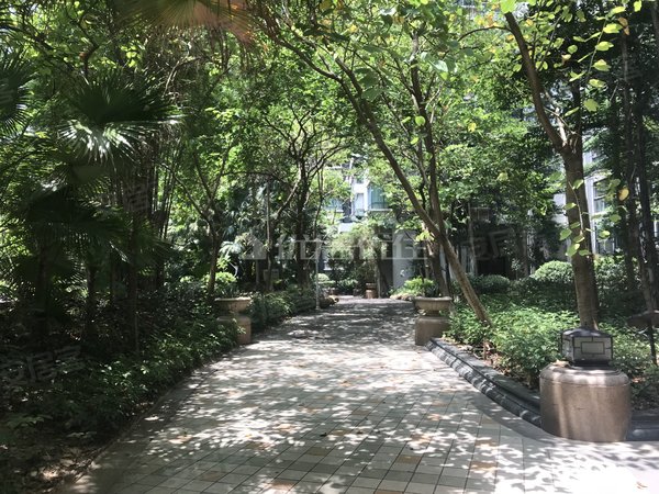 【多图】德瑞花园,东盟商务租房,万象城对面德瑞花园精装大平层四房