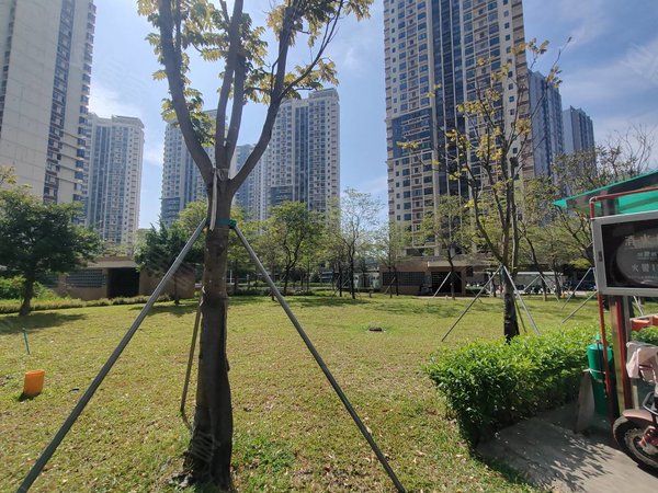 深圳光明光明光明新村光明新村三房二厅二卫,交通购物方便,深实相伴