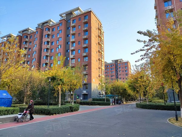 北京海淀马连洼柳浪家园北里柳浪家园 精装南北通透2居室 家电齐全 近