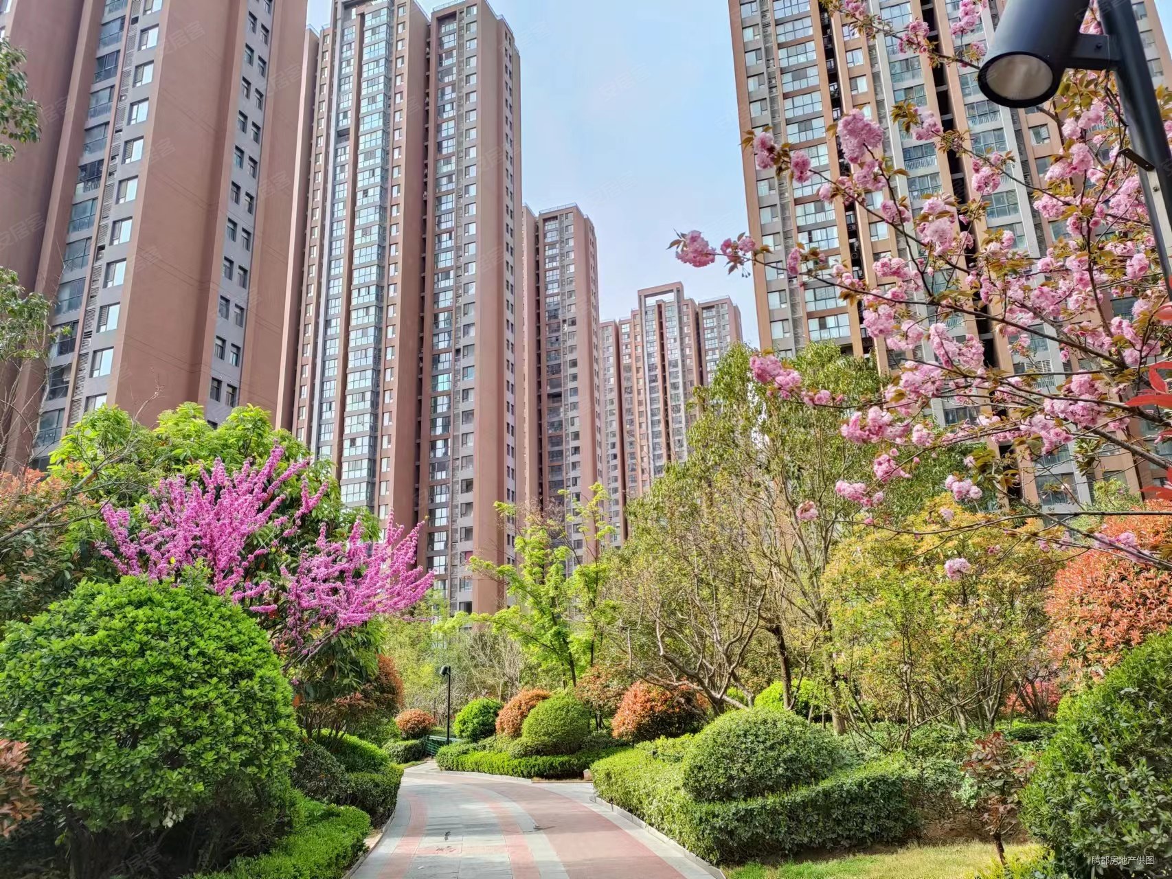 绿都紫荆华庭雅园3室2厅2卫131㎡南北186万