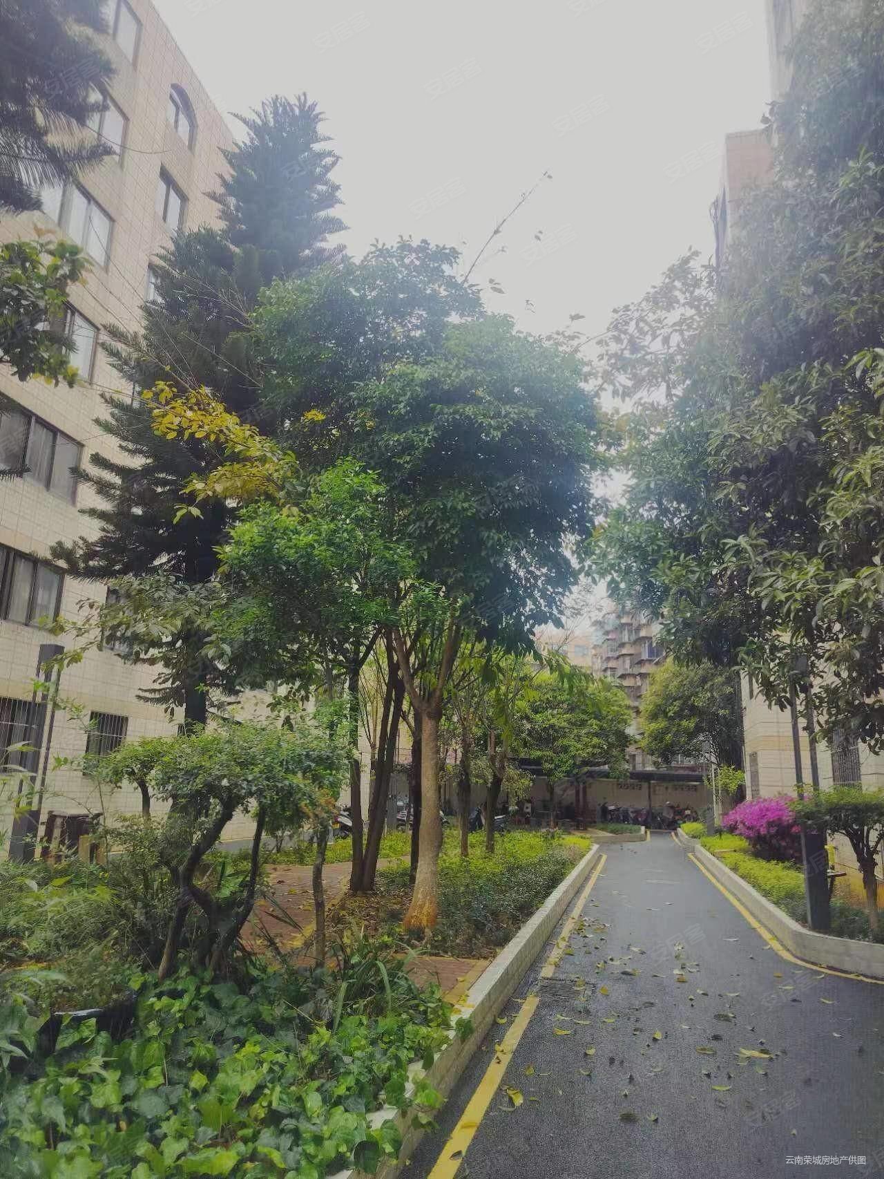 宝海公园旁精装四室房改房实际120平米无需装修送家具