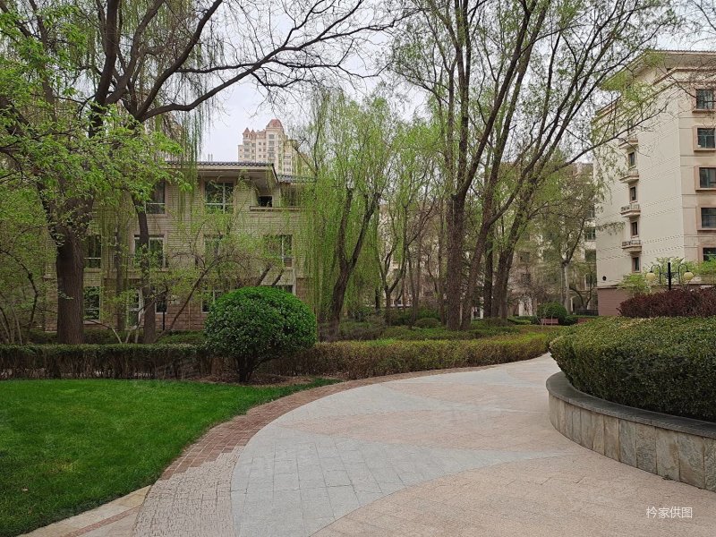 雁滩天庆嘉园白领户型 一室两厅 南北通透 产权可按揭 采光好