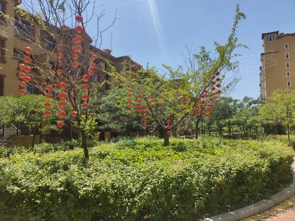 托斯卡纳,东兴路148号 - 辽阳托斯卡纳二手房,租房,房价-辽阳安居客